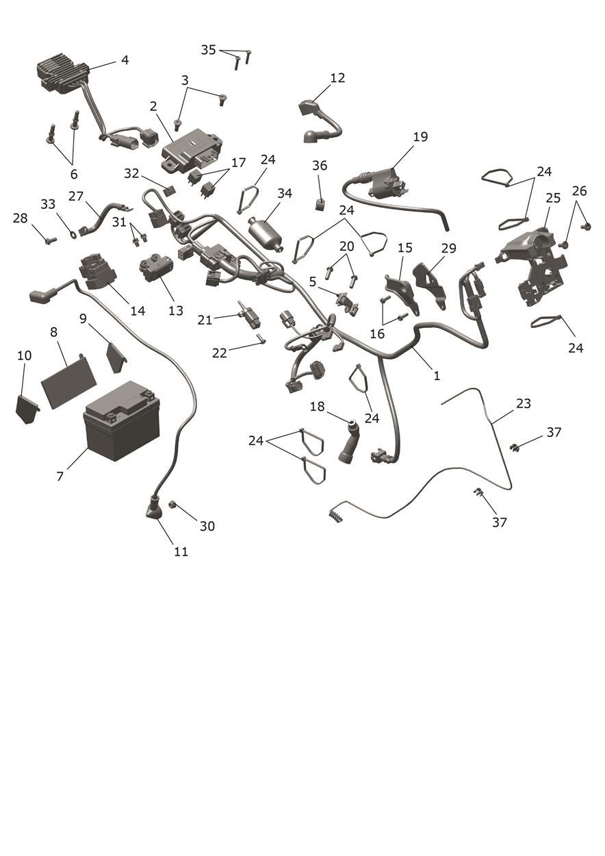 Exploded parts diagram — Electrical System, Triumph TF 250-C