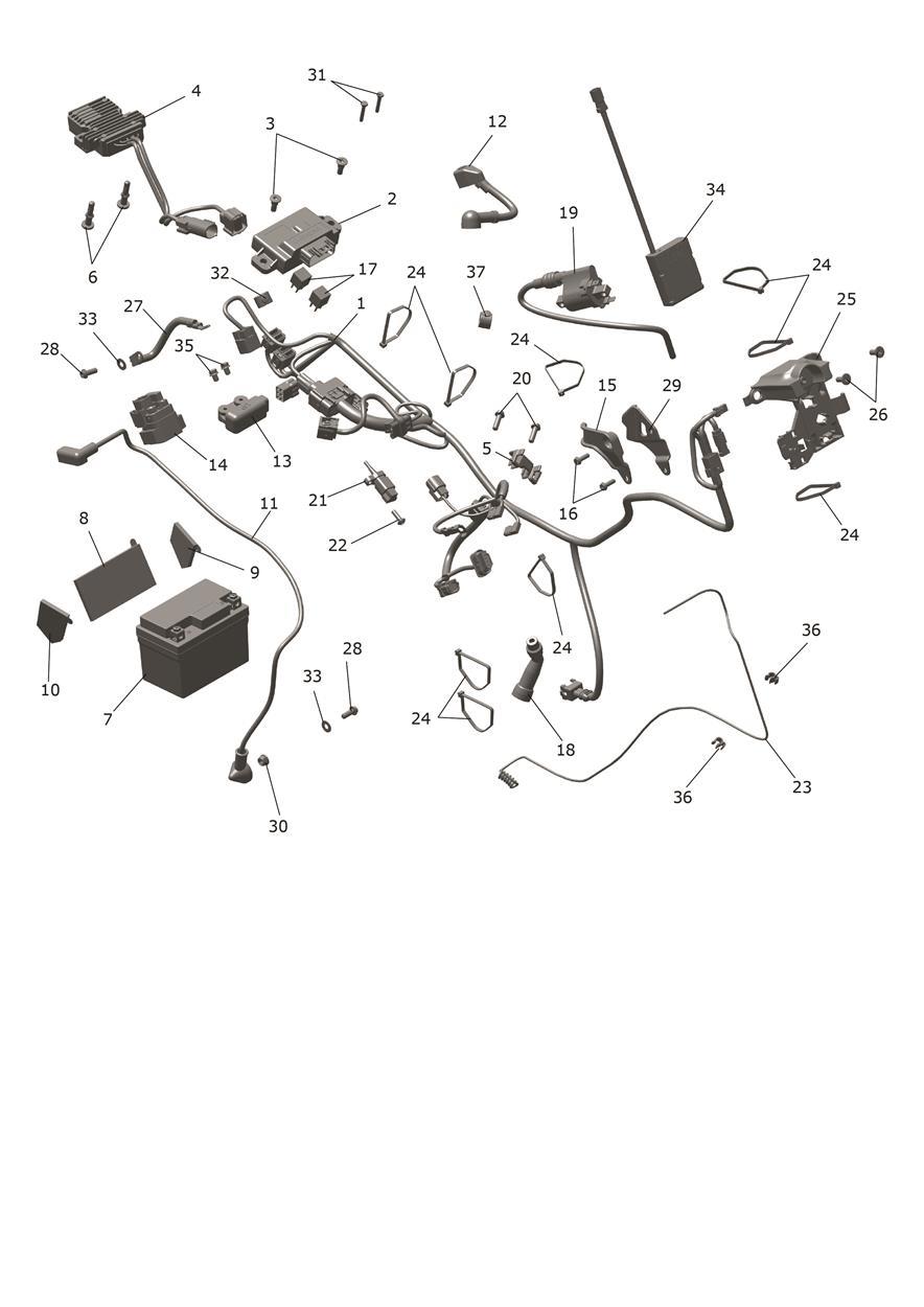 Exploded parts diagram — Electrical System, Triumph TF 450-RC Edition