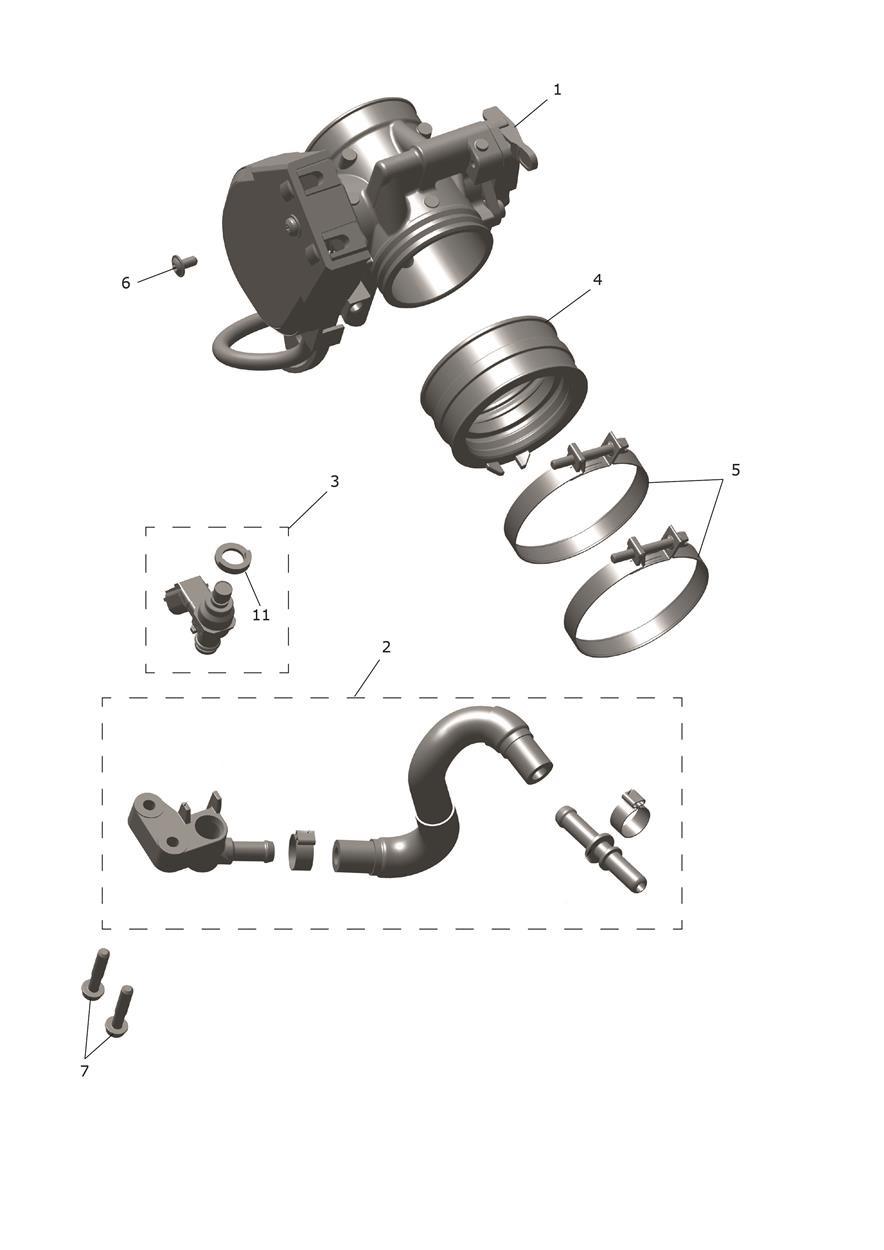 Exploded parts diagram — Throttle Bodies, Triumph TF 250-E