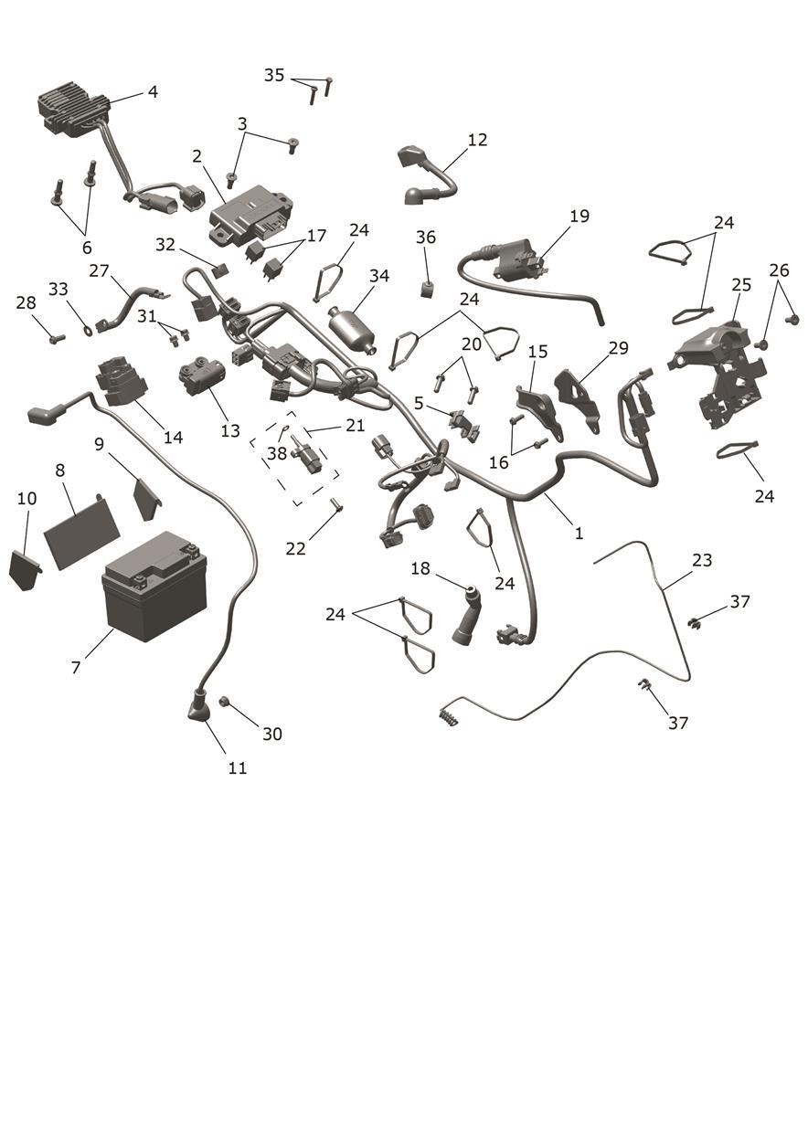Exploded parts diagram — Electrical System, Triumph TF 450-X